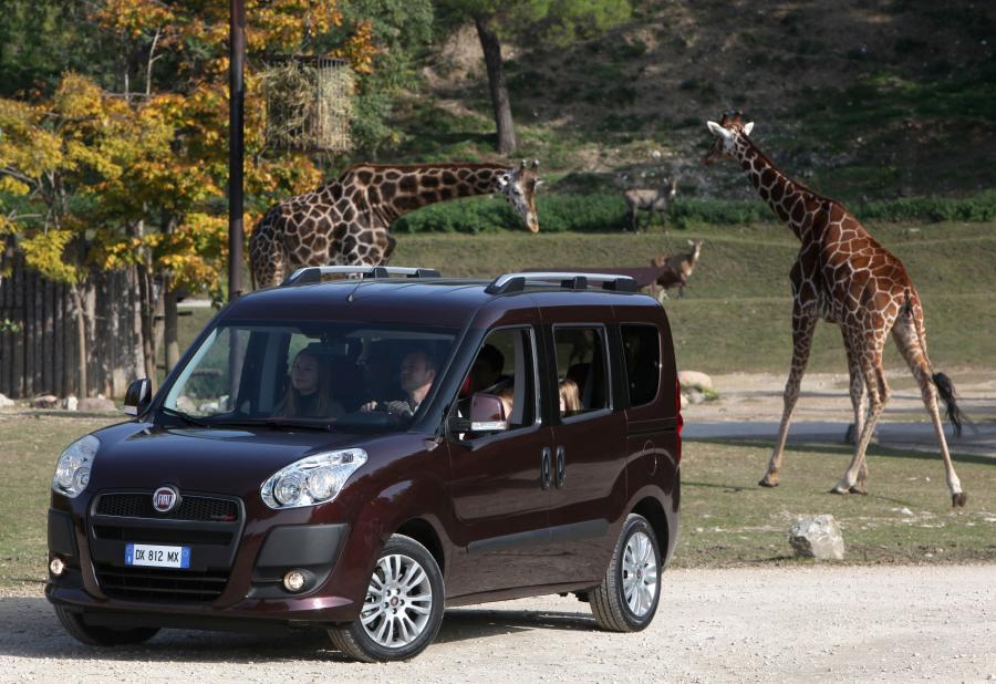  Fiat Doblo (263) 2010 года  (фото 18 из 40)